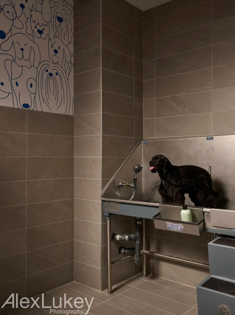 Pet spa